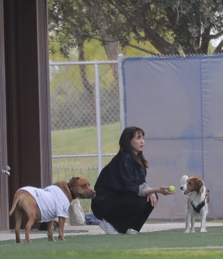 山本由伸の愛犬は何歳？いつから飼っていて犬種や名前も徹底調査